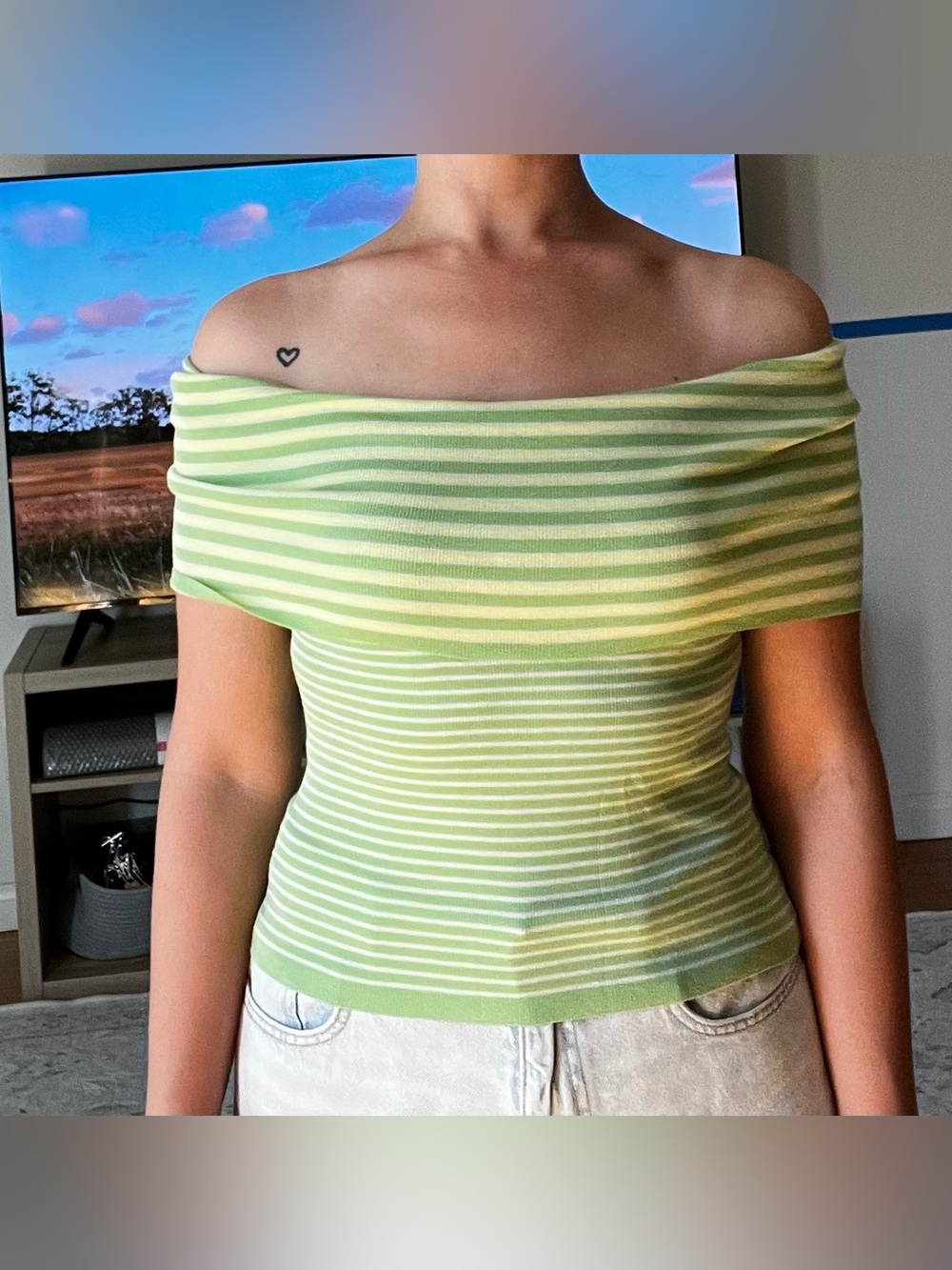 Zara Off-Shoulder Striped Knit Top in Light Green and Cream